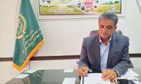 بردسکن با ۱۴ هزار هکتار باغات پسته، دومین قطب تولید این محصول در خراسان رضوی